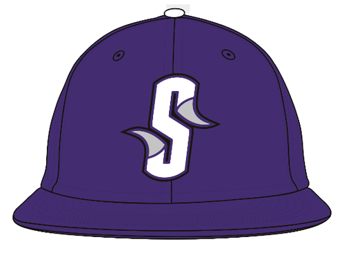 Purple Game Hat